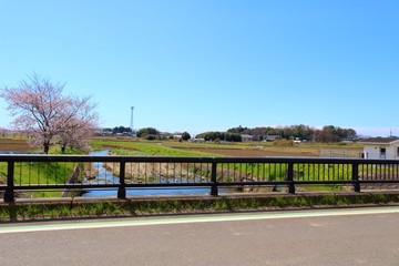 春　さくら　橋　道　田舎　茨城　風景