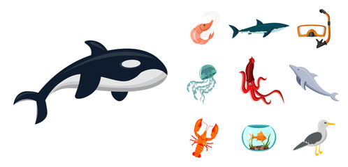 sea animals flat icon set with killer whale, shark, firsh illustration design elements
