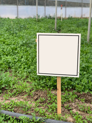empty signboard in greenhouse