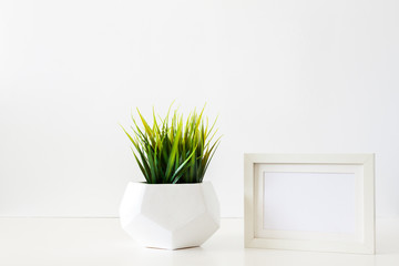 A single green plant against a blank white wall. Mockup frame. Grass in a geometric pot. An isolated object. Panorama