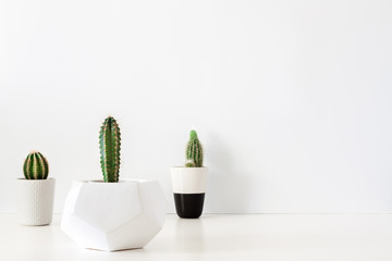 Three cactuses in pots against a white blank wall. Copy space. Geometric flower pot. White shelf at home.