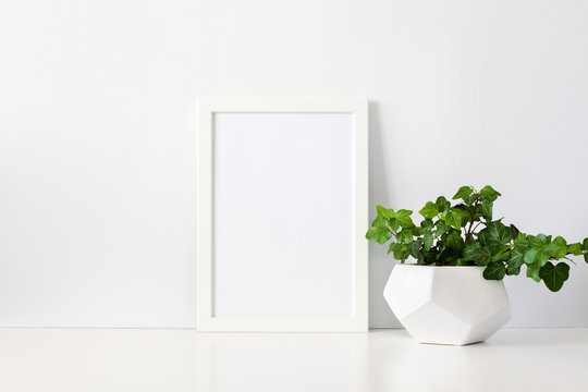 A single green plant against a blank white wall. Frame mockup .. Ivy in a geometric pot. An isolated object.