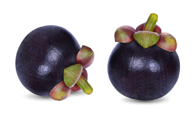 Fresh mangosteen fruit isolated on a white background