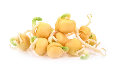 peas sprouted  isolated on a white background.