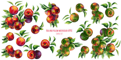 Hand drawn watercolor illustration of the fruits: red and yellow ripe apples, isolated on the white background. Suitable for prints, design, production, labels, for use in invitations, greeting cards