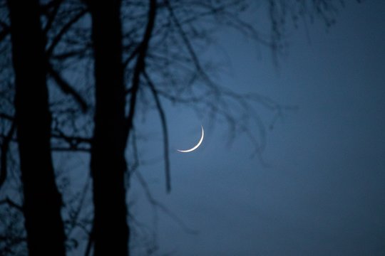 Half moon night blue sky © Kamil