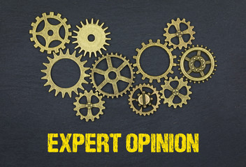 Expert opinion