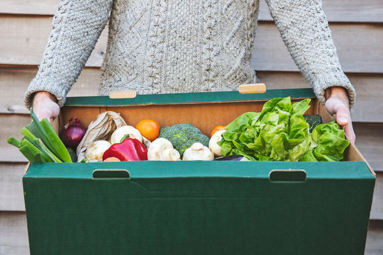 A person delivering a fresh box of vegetables. Online organic food shopping