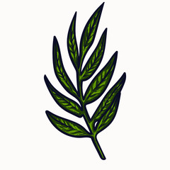 foliage greens, plants isolated hand drawn vector illustration. colorful bouquet botany graphic design clipart elements for your creative projects. wedding invitations, postcards, posters and tattoos.