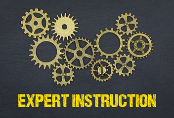 Expert Instruction