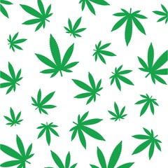 Fototapeta premium cannabis leaf vector background illustration design
