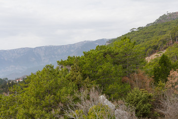 Huge stone mountain. Rock background. Rocky mountains