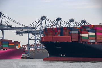 Fototapeta premium Logistics and container loading by large barges by sea in a harbor full of containers waiting to be transported