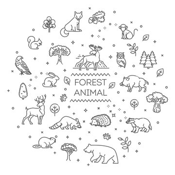 Forest Animals Line Images – Browse 55,300 Stock Photos, Vectors, and Video  | Adobe Stock