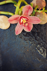 Spa background with orchid