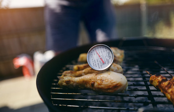 A food thermometer checking that chicken is being cooked correctly, safely on a barbecue on a sunny day in the garden.