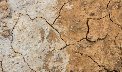 Obraz premium Salty soil