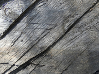 Legno
