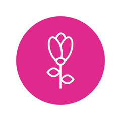Obraz na płótnie Canvas garden rose flower block and line icon