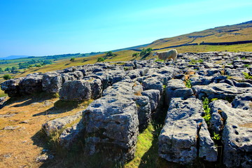 Amazing rock formations at Malham Cove, United Kingdom