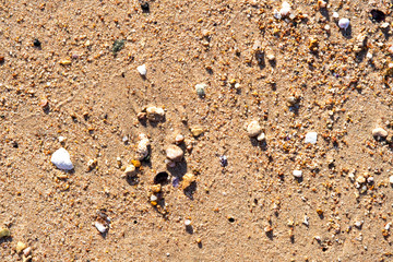 Flat lay surface of sandy beach with yellow sand and small stones background.