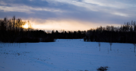 winter time of the year