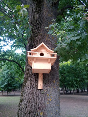 Beautiful birdhouse on tree. Birdhouse in the park.