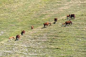 Landscape near Monte Cucco, Marches and Umbria, Italy