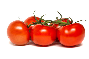 Five red tomatoes on a twig isolated on a white background