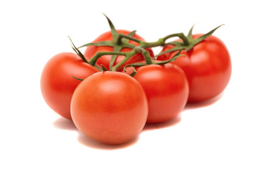 tomatoes isolated on white background