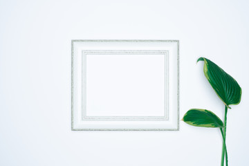 A empty(blank) white photo frame with leaves isolated on white background.