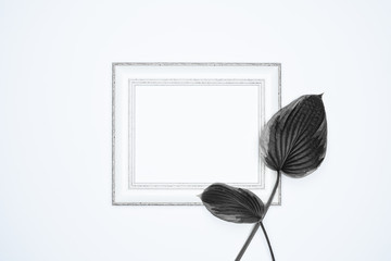 A empty(blank) white photo frame with Black leaves isolated on white background.