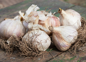 bunch of white unpeeled garlic on a wooden surface