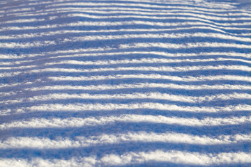 thin and long striped shadows