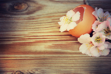 Spring flowers with egg