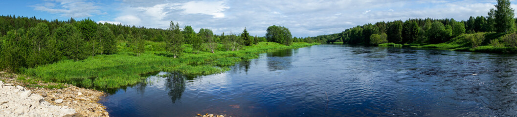 Fototapeta premium river and Bank with grass and trees