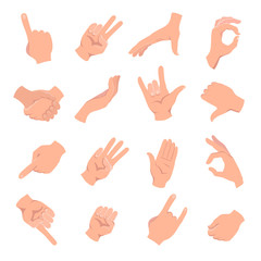 Hands human gestures set. Different human finger gesture signs collection isolated vector illustration