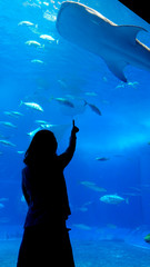 a woman pointing her finger at a whale shark in an aquarium.