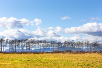 日本の北海道東部・上士幌町付近、秋の風景