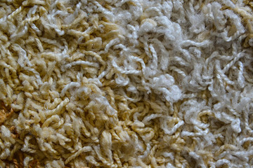 Texture of grey carpet. Abstract background of a shaggy texture. 