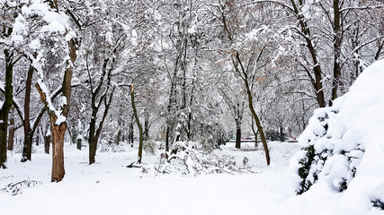 snowy landscape, cold park