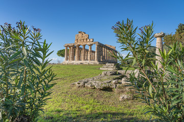 Fototapeta na wymiar Temple of Athena in Paestum Italy