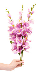 Decorative flowers bouquet, pink blossom.