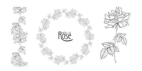 vector floral arrangement with rose flowers and rose buds