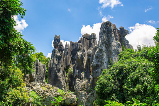 Naigu Shilin limestone pinnacles Stone Forest, Kunming Yunnan China.