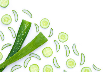 aloe vera and cucumber slice pattern texture for background. top view. 