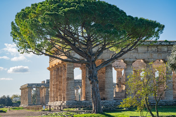 Fototapeta na wymiar A look at a temple in Paestum Italy