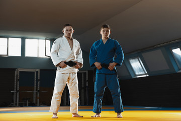 Two young judo caucasian fighters in white and blue kimono with black belts posing confident in the...