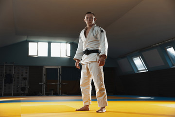Young judo caucasian fighter in blue kimono with black belt posing confident in the gym, strong and healthy. Practicing martial arts fighting skills. Overcoming, reaching target, self building up. © master1305