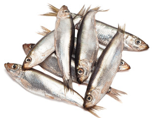 Sprat spicy salting on a white background